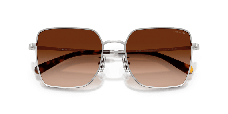 Silver/Dark Tortoise / Brown Gradient (94775M)-swatch