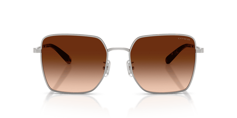 Silver/Dark Tortoise / Brown Gradient (94775M)-variant-image