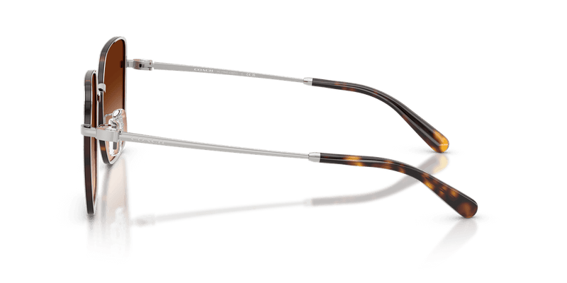 Silver/Dark Tortoise / Brown Gradient (94775M)-variant-image