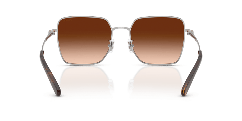 Silver/Dark Tortoise / Brown Gradient (94775M)-variant-image