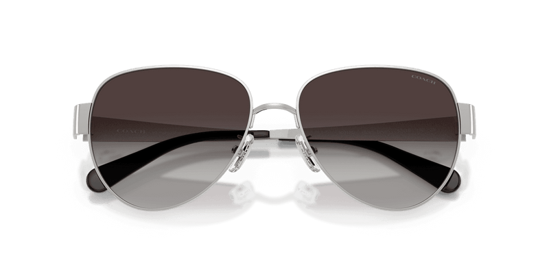 Shiny Silver / Grey Gradient (90018G)-swatch