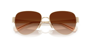 Shiny Light Gold / Brown Gradient (900574)