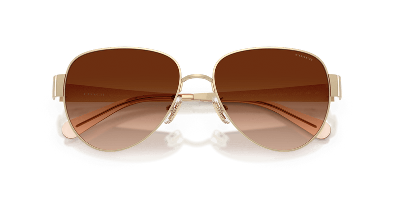 Shiny Light Gold / Brown Gradient (900574)-swatch