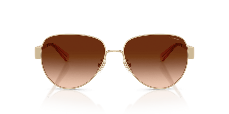 Shiny Light Gold / Brown Gradient (900574)-variant-image