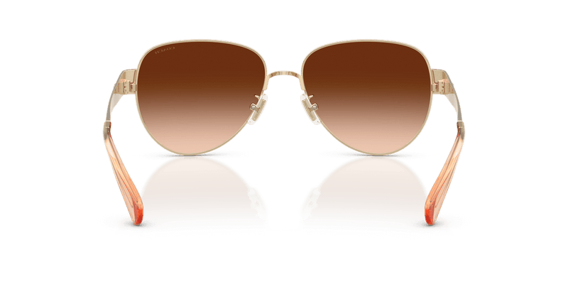 Shiny Light Gold / Brown Gradient (900574)-variant-image