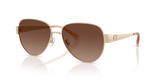Shiny Light Gold / Brown Gradient Polarized (900587)