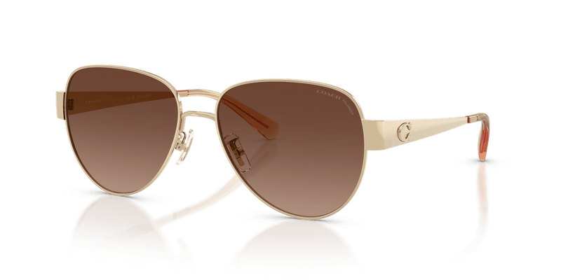 Shiny Light Gold / Brown Gradient Polarized (900587)