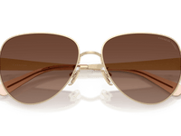 Shiny Light Gold / Brown Gradient Polarized (900587)