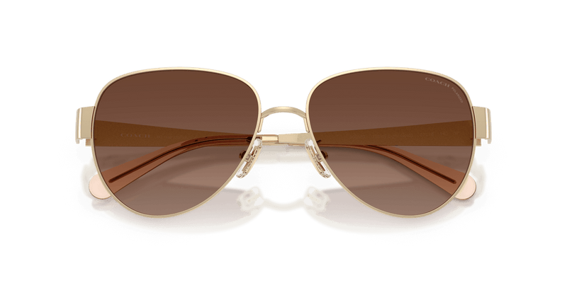 Shiny Light Gold / Brown Gradient Polarized (900587)-swatch