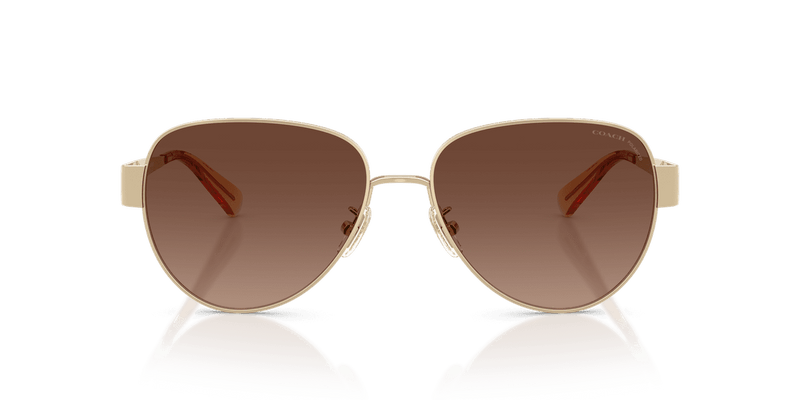 Shiny Light Gold / Brown Gradient Polarized (900587)-variant-image