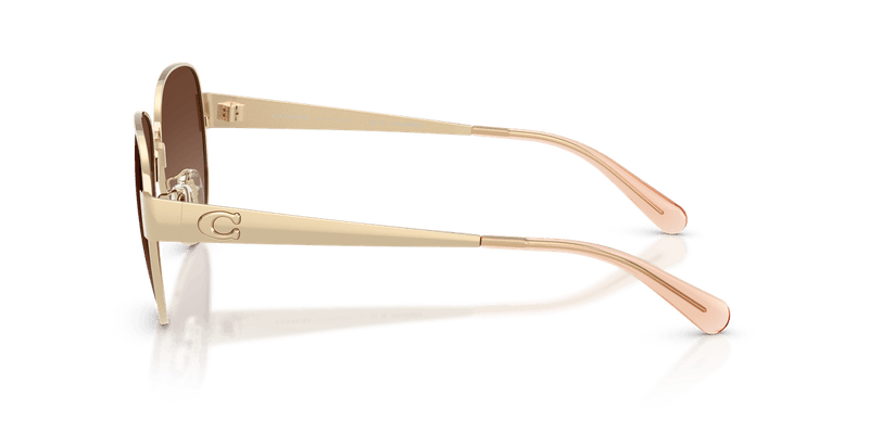 Shiny Light Gold / Brown Gradient Polarized (900587)-variant-image