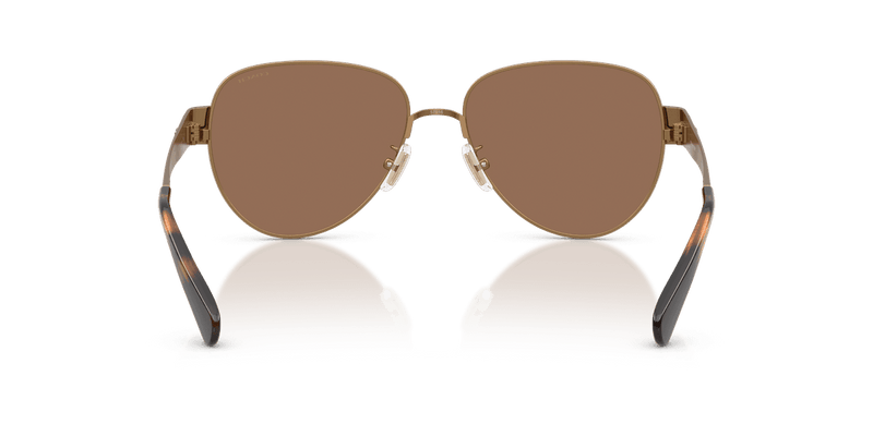 Brass / Brown Solid (948473)-variant-image