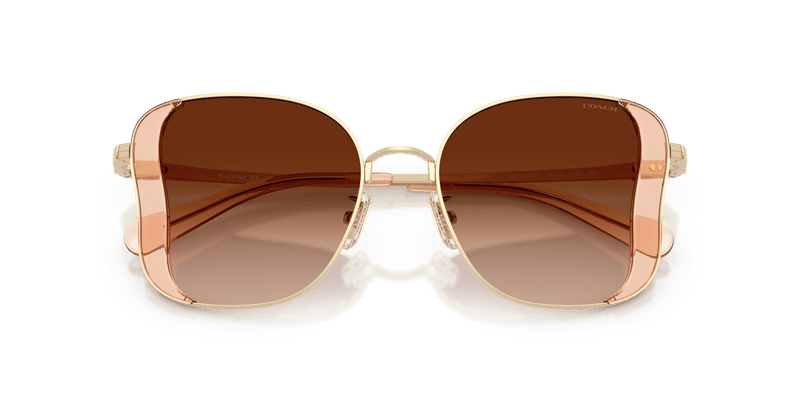 Champagne/Gold / Brown Gradient (900574)-swatch