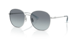 Shiny Silver / Ocean Gradient (900119)