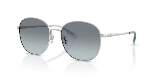 Shiny Silver / Ocean Gradient (900119)