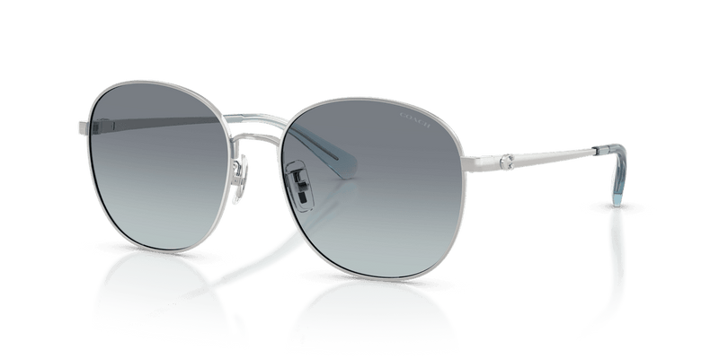 Shiny Silver / Ocean Gradient (900119)