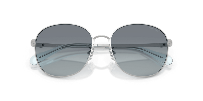 Shiny Silver / Ocean Gradient (900119)-swatch