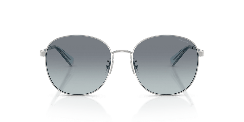 Shiny Silver / Ocean Gradient (900119)-variant-image