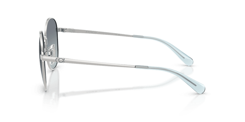 Shiny Silver / Ocean Gradient (900119)-variant-image