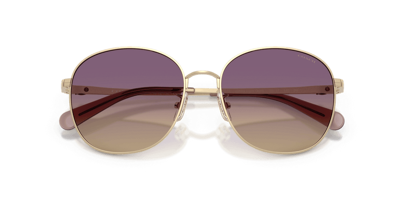 Shiny Light Gold / Iris Yellow Gradient (900570)-swatch