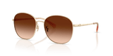 Shiny Light Gold / Brown Gradient (900574)