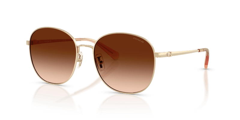 Shiny Light Gold / Brown Gradient (900574)