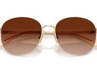 Shiny Light Gold / Brown Gradient (900574)