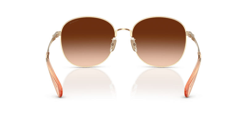 Shiny Light Gold / Brown Gradient (900574)-variant-image