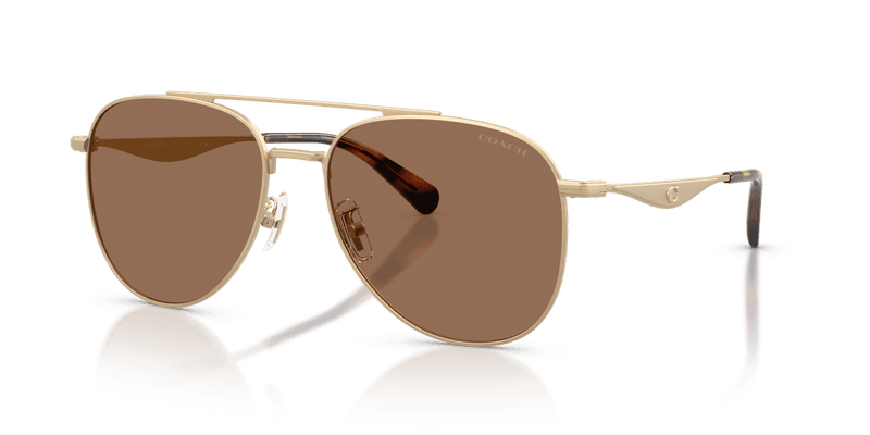 Coach CDP40 HC7190 in Satin Light Gold / Brown Solid (900513) - Alternate View
