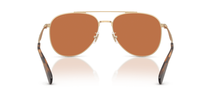 Coach CDP40 HC7190 in Satin Light Gold / Amber Solid (900573) - Alternate View