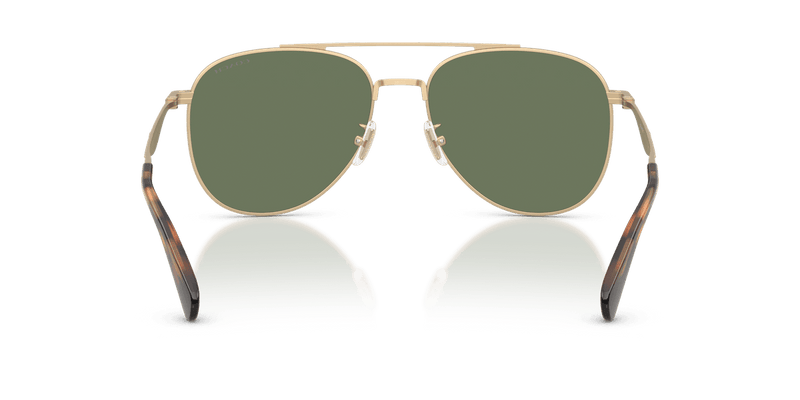 Coach CDP40 HC7190 in Satin Light Gold / Green Solid (900582) - Alternate View