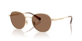 Shiny Light Gold / Brown Solid (900513)