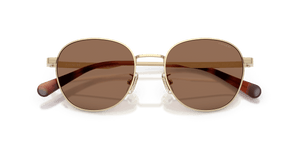 Shiny Light Gold / Brown Solid (900513)