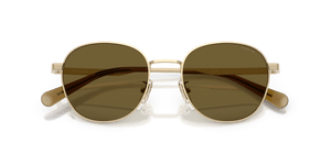 Shiny Light Gold / Olive Solid (900573)