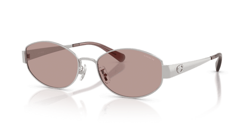 Shiny Silver / Purple Solid (90017N)