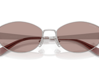 Shiny Silver / Purple Solid (90017N)