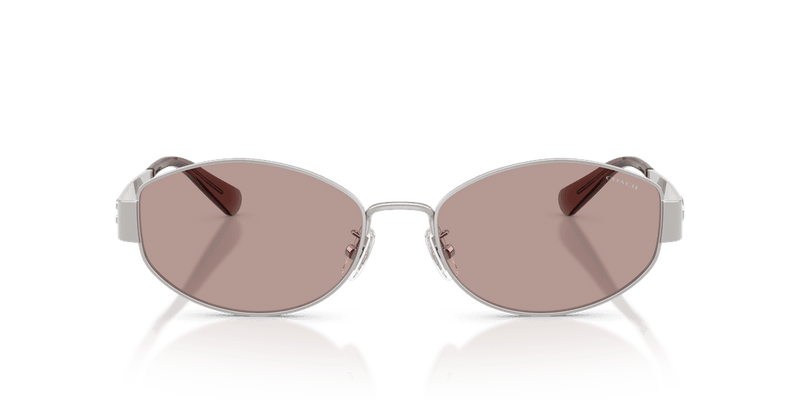 Shiny Silver / Purple Solid (90017N)-variant-image