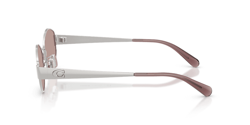 Shiny Silver / Purple Solid (90017N)-variant-image