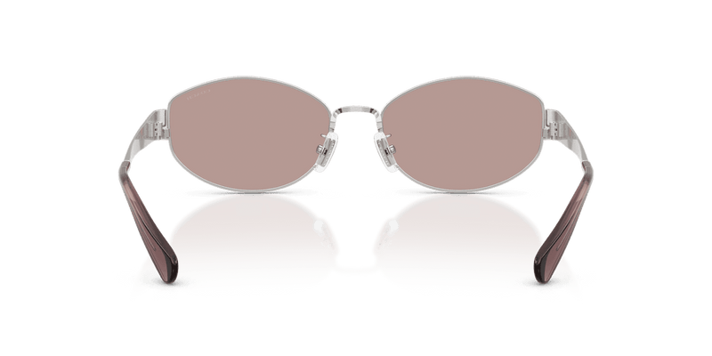 Shiny Silver / Purple Solid (90017N)-variant-image