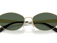 Shiny Light Gold / Dark Green Solid (900571)