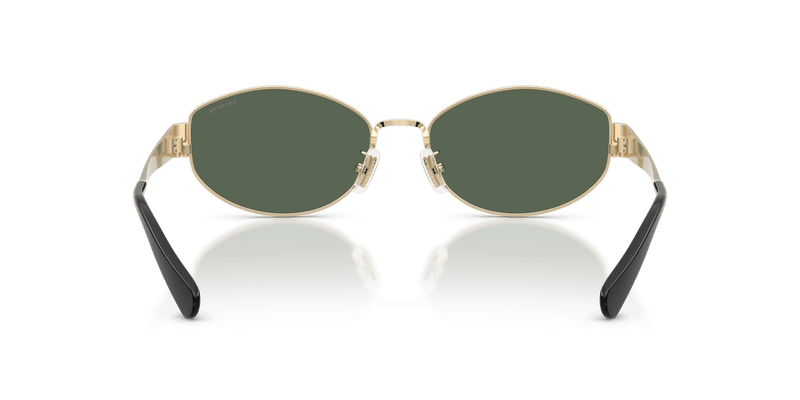 Shiny Light Gold / Dark Green Solid (900571)-variant-image