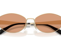 Shiny Light Gold / Light Brown Solid (900584)