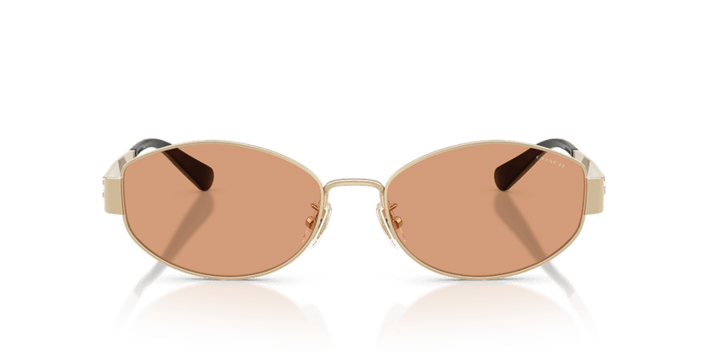 Shiny Light Gold / Light Brown Solid (900584)-variant-image