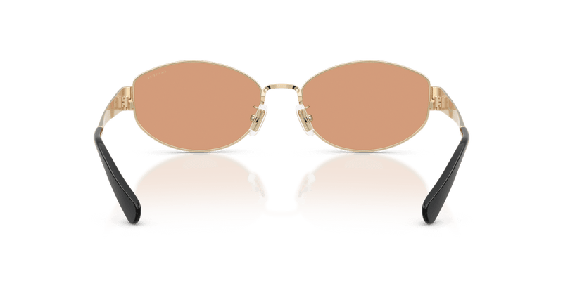 Shiny Light Gold / Light Brown Solid (900584)-variant-image