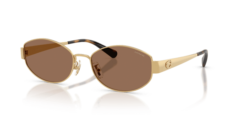 Shiny Gold / Dark Brown Solid (944113)