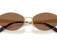 Shiny Gold / Dark Brown Solid (944113)