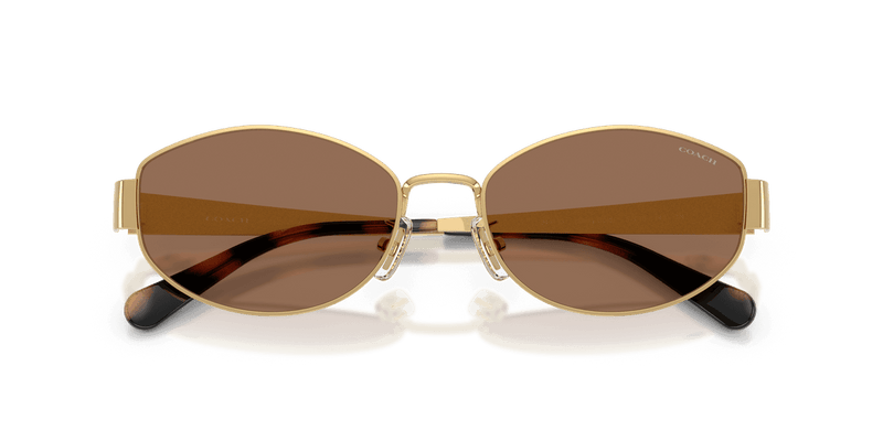 Shiny Gold / Dark Brown Solid (944113)-swatch