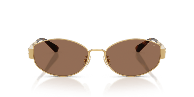 Shiny Gold / Dark Brown Solid (944113)-variant-image