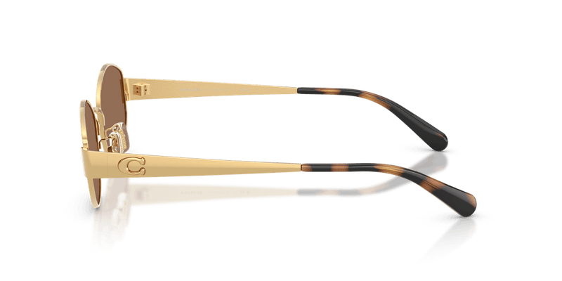 Shiny Gold / Dark Brown Solid (944113)-variant-image