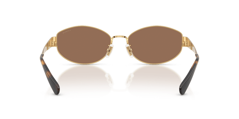 Shiny Gold / Dark Brown Solid (944113)-variant-image